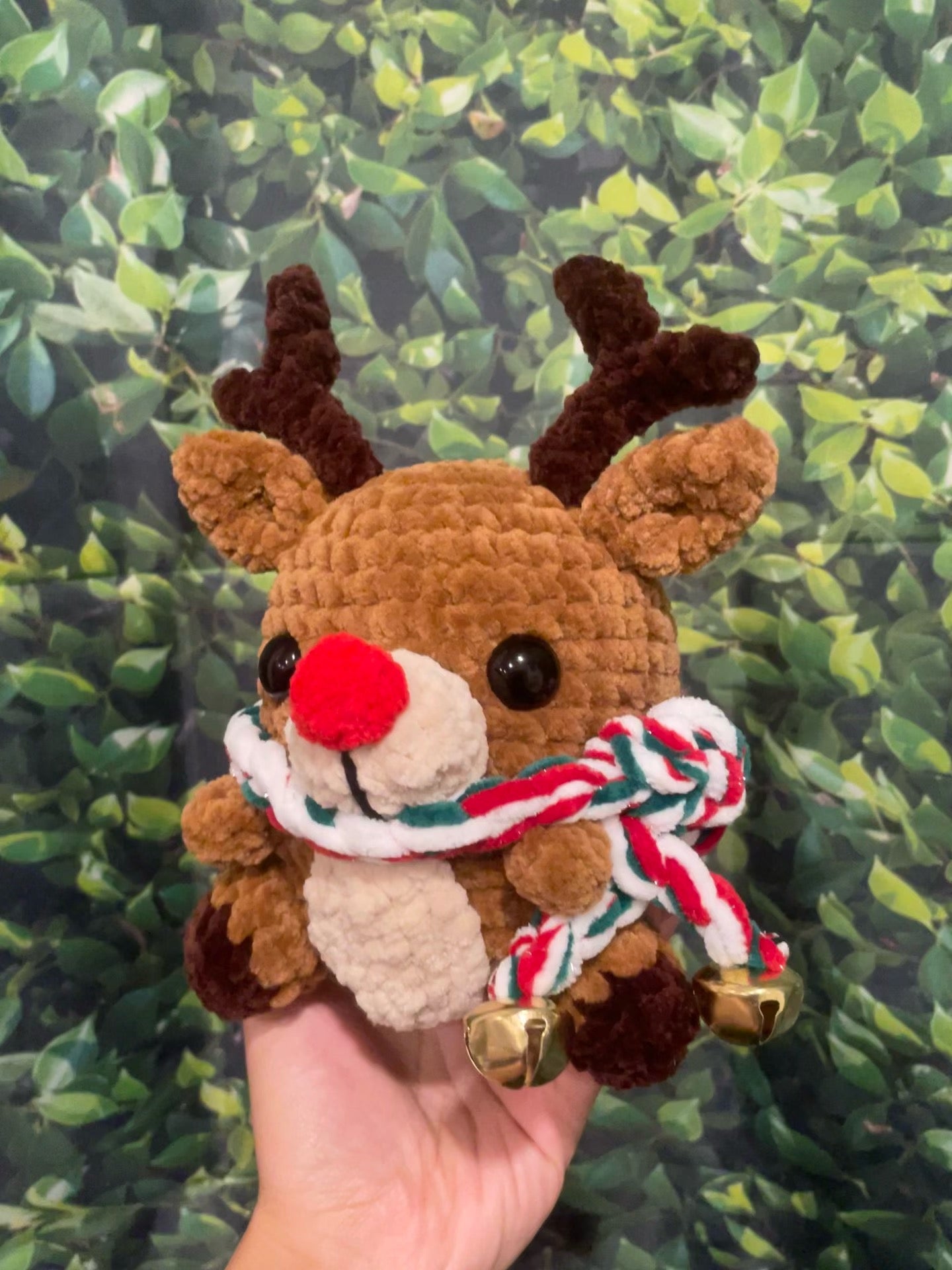 Reindeer